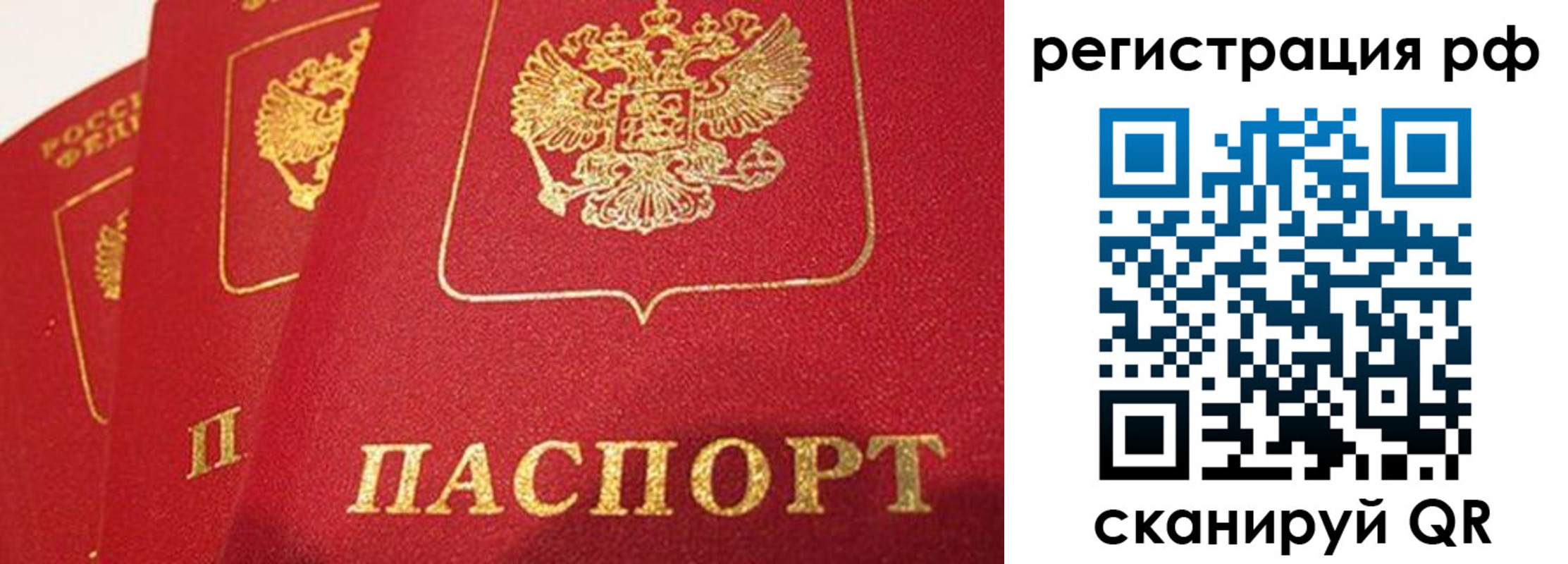 прописка поиск в Алтае